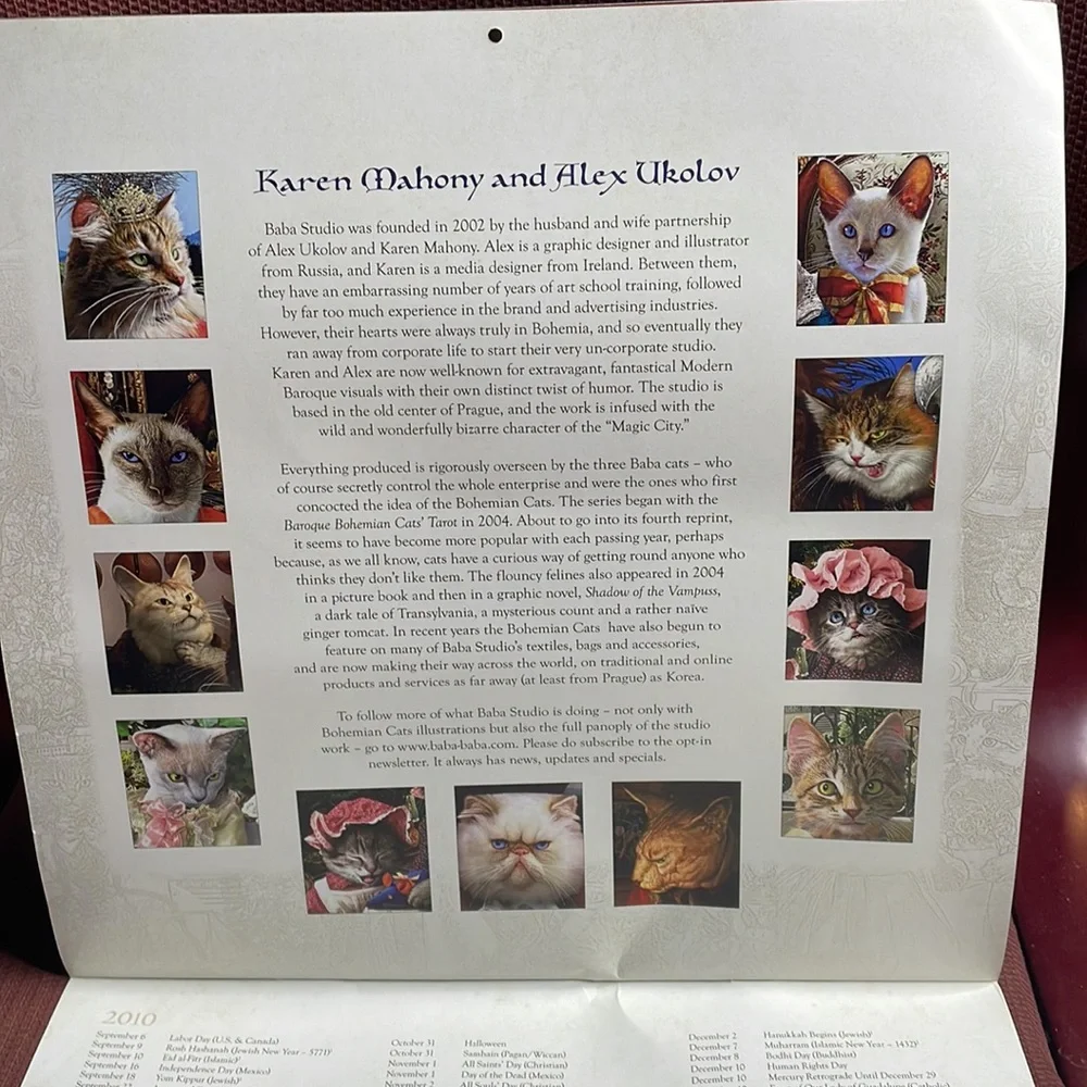12“ x 12“ 2011 bohemian cats calendar out of package, has not been written in